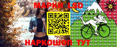 винт Можга
