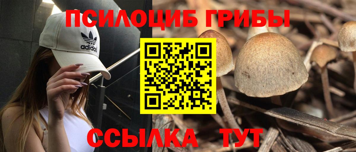 Севастополь  Псилоцибиновые грибы ЛСД  Вход с VPN 