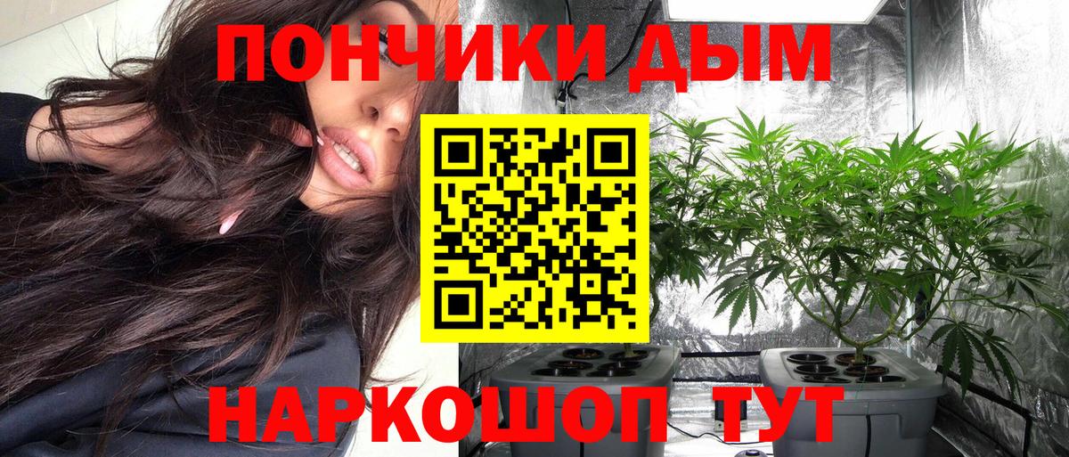 Бошки Шишки план Севастополь